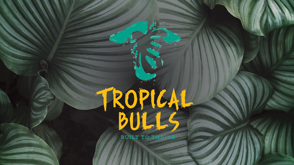 Agri Creative Tropical Bulls