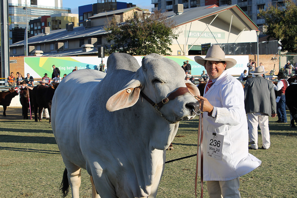 Agri Creative Ekka 2016